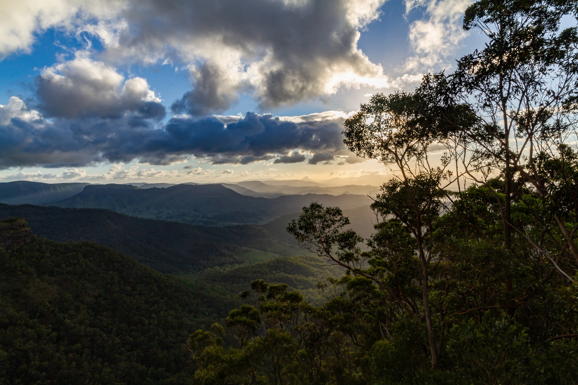 Lamington National Park